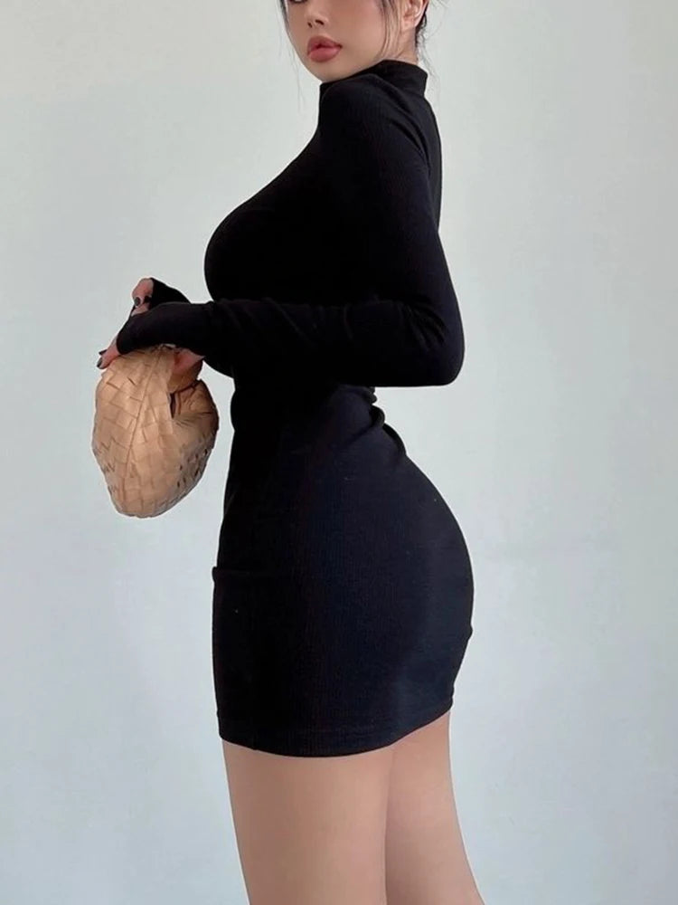 Long Sleeve Mid Cut Dress with Turtleneck